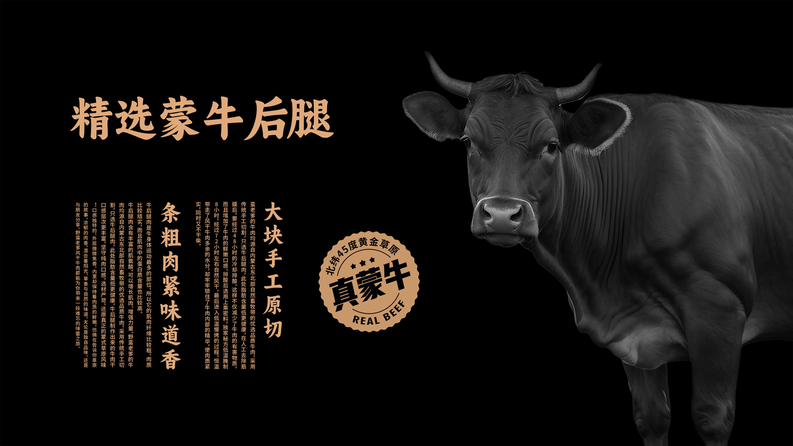 风干牛肉品牌包装设计